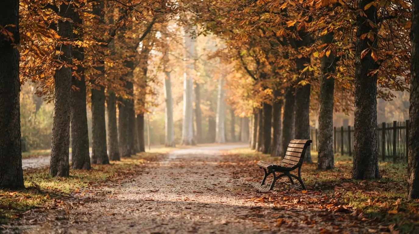 Eine Parkallee mit Kastanienbäumen und einer leeren Bank, Herbstlaub bedeckt den Kiesweg.