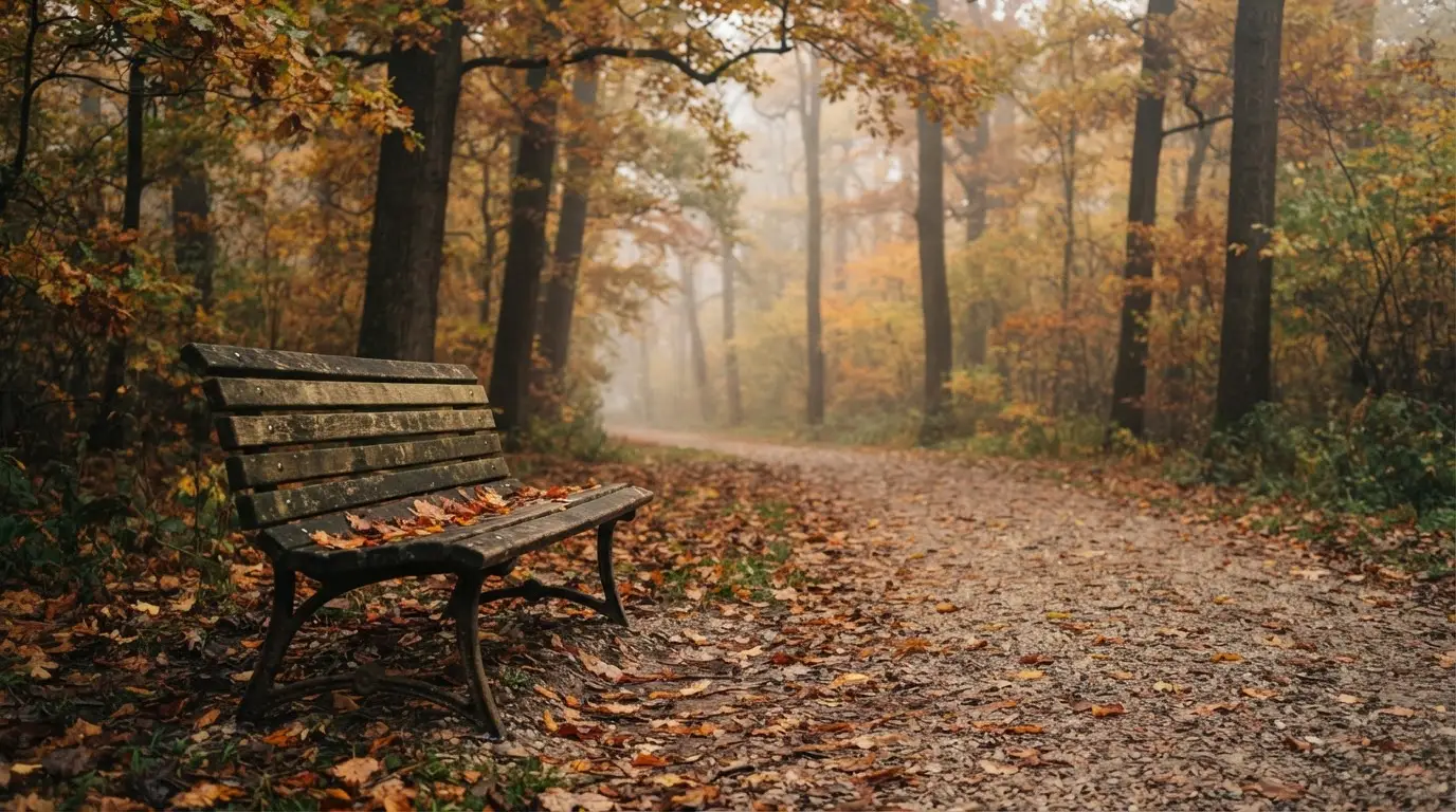 Eine Holzbank im herbstlichen Park, bunte Blätter liegen auf dem Kiesweg, dahinter steigt leichter Nebel zwischen den Bäumen auf.