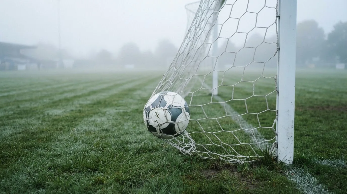 Ein Fussball liegt im Netz hinter einem Tor, weicher Morgennebel hängt über dem Rasen